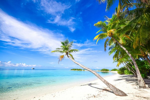 Location de voitures et utilitaires à vénissieux : choix et flexibilité