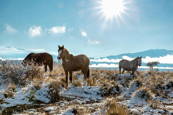 Quels sont les meilleurs spots pour la photographie de paysages en Patagonie argentine ?